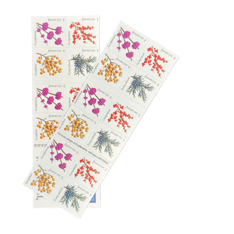 Winter Berries 2019 First-Class Forever Postage Stamps 100pcs